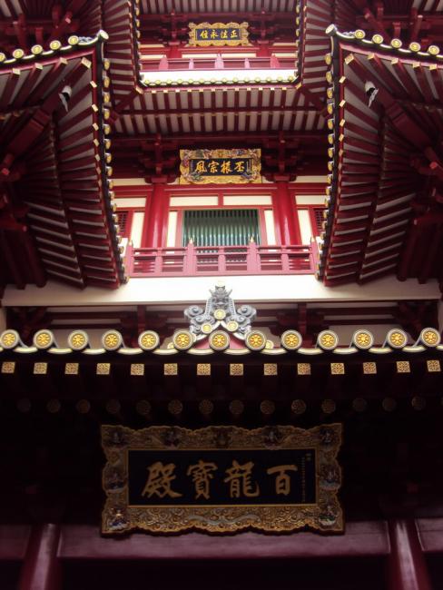 DSC02876_resize.jpg